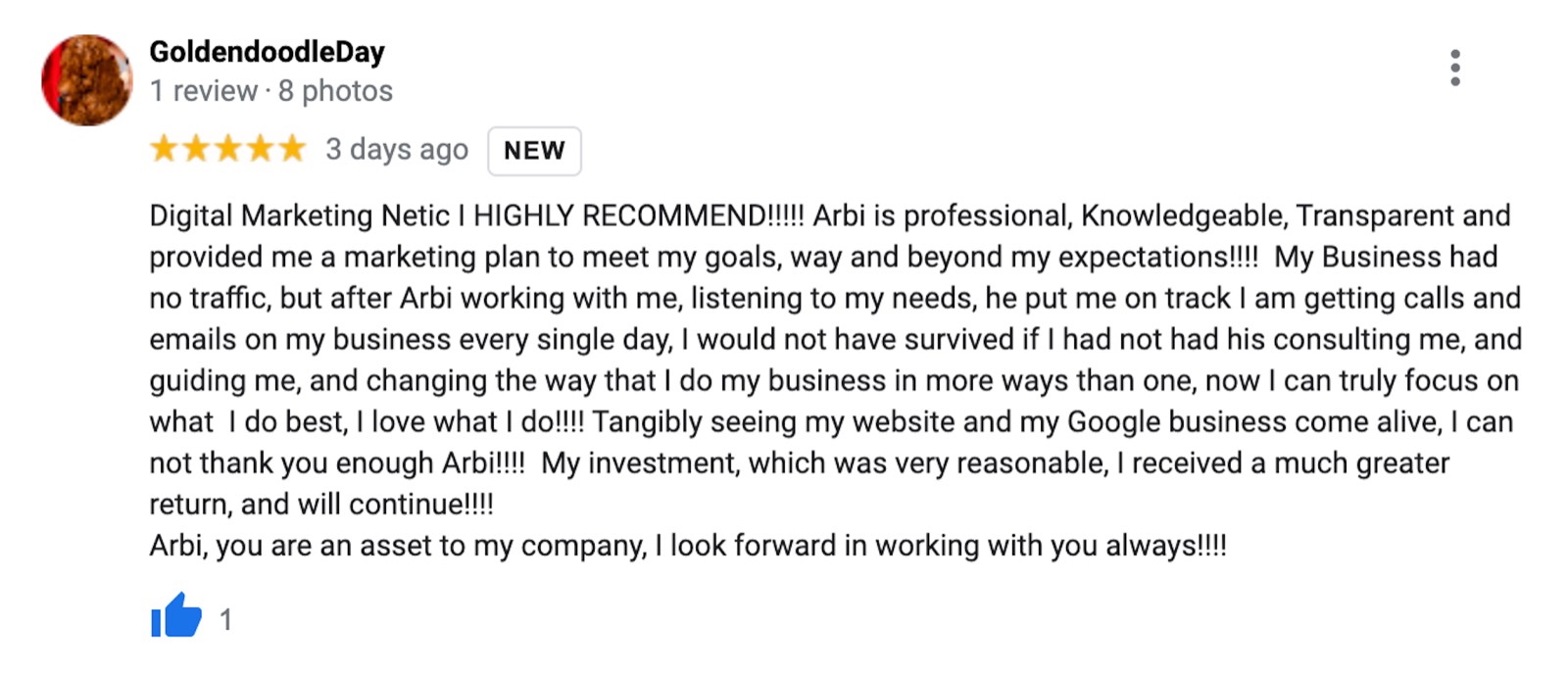 goldendoodleday-google-review