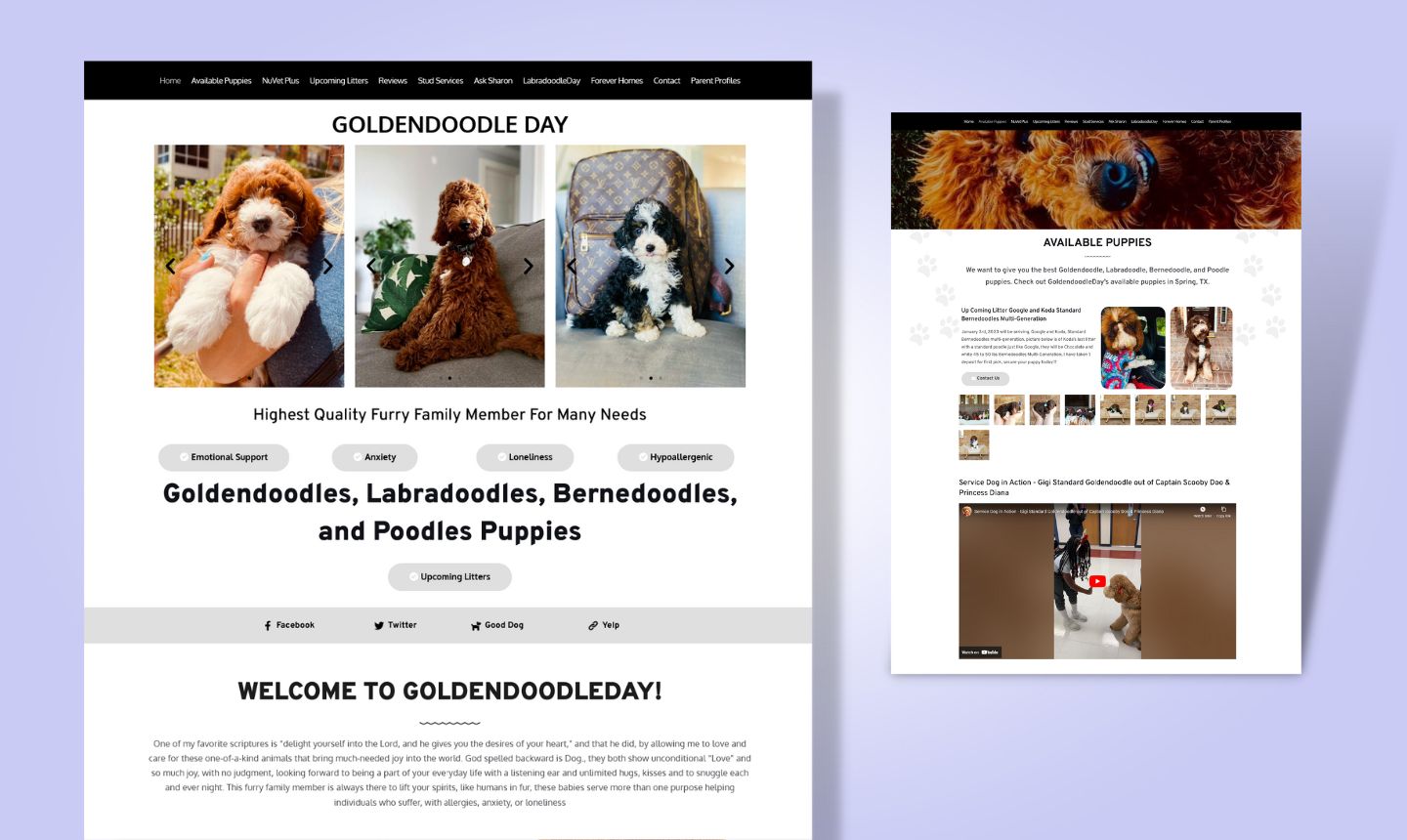 GoldenDoodly Day website design
